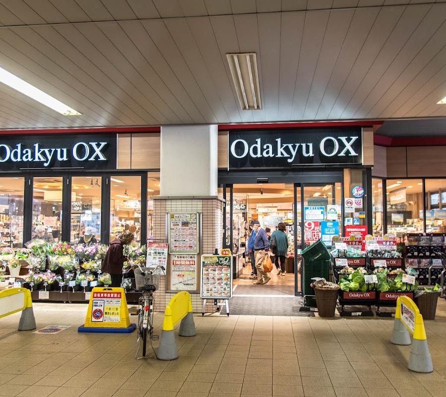 Odakyu OX