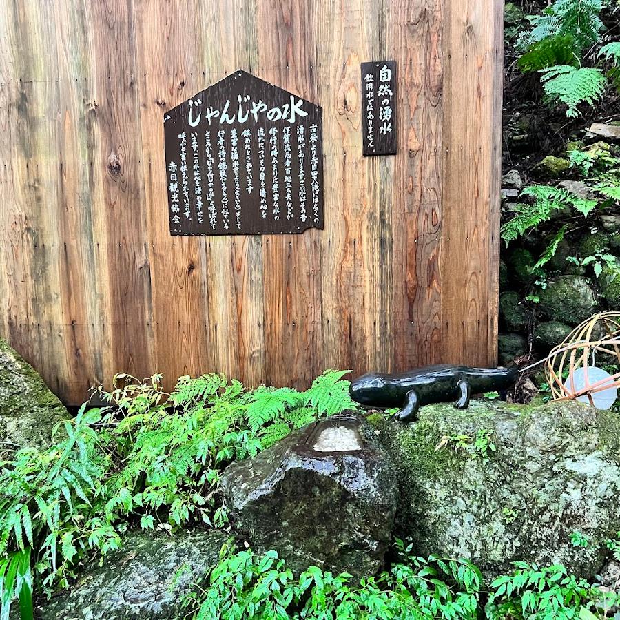 じゃんじゃんの水