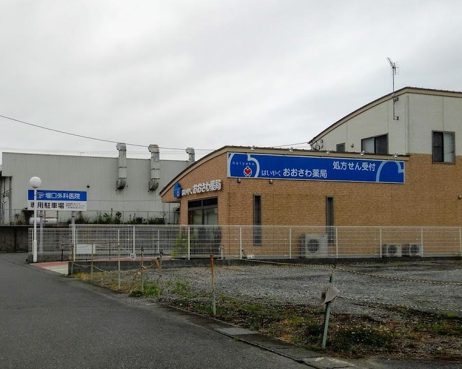 おおさわ薬店