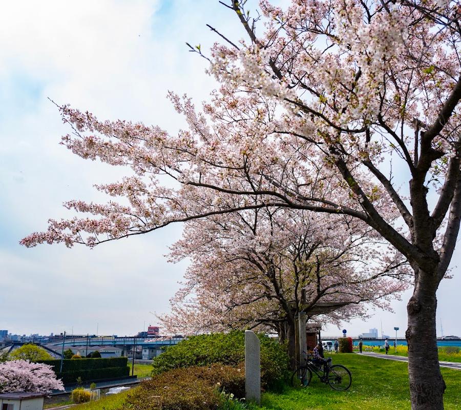 川の一里塚（古ヶ崎）