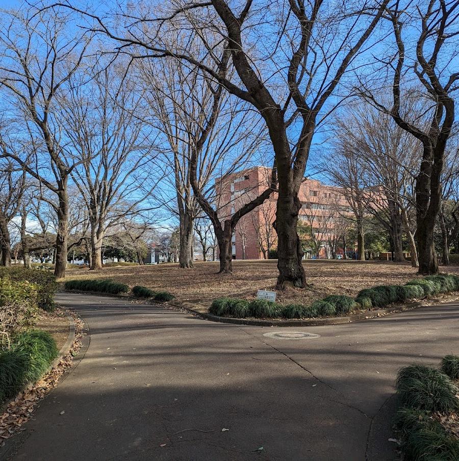 日野中央公園