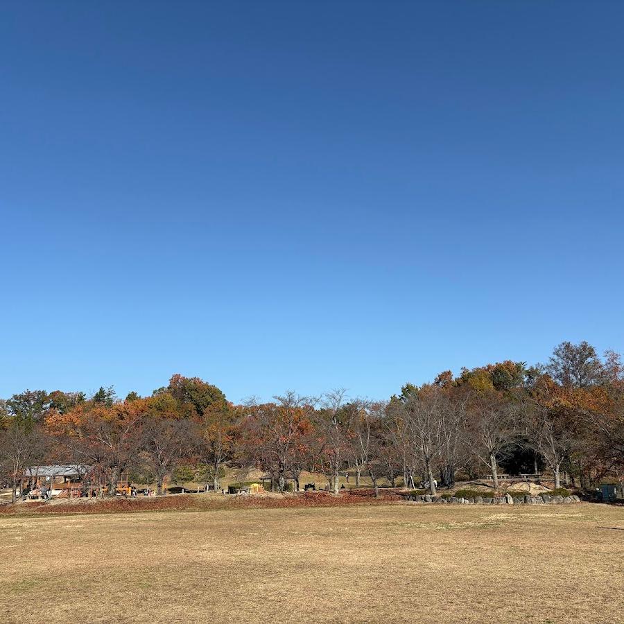 芝生広場