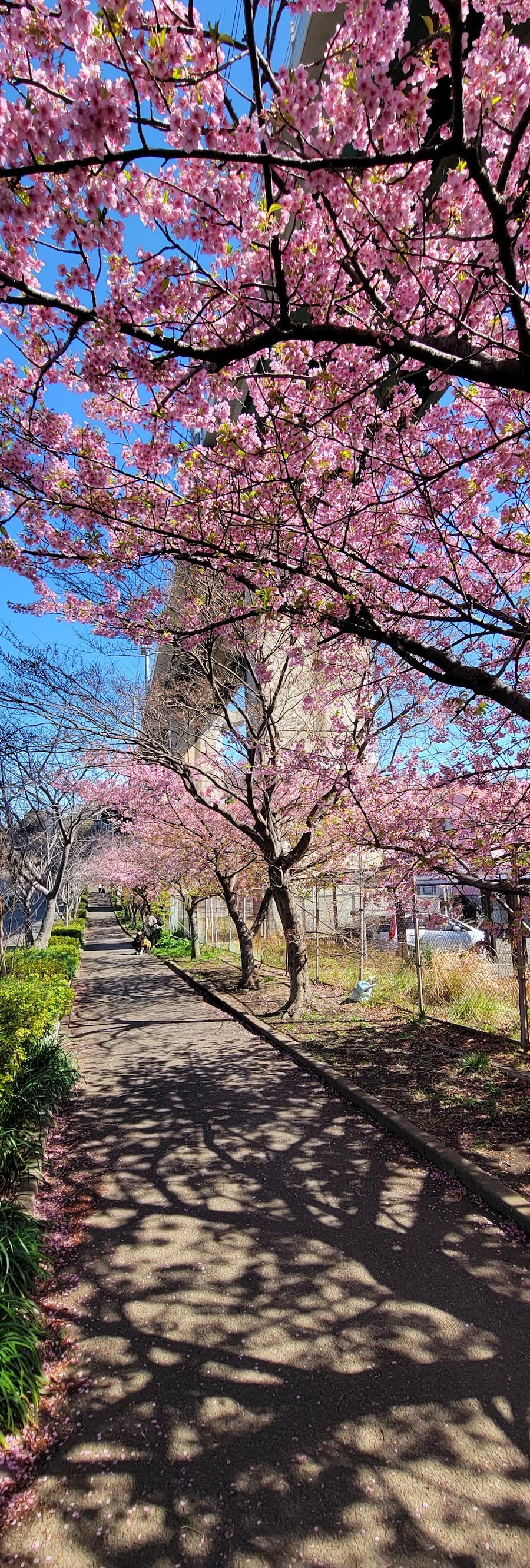 三崎口駅前観光案内所