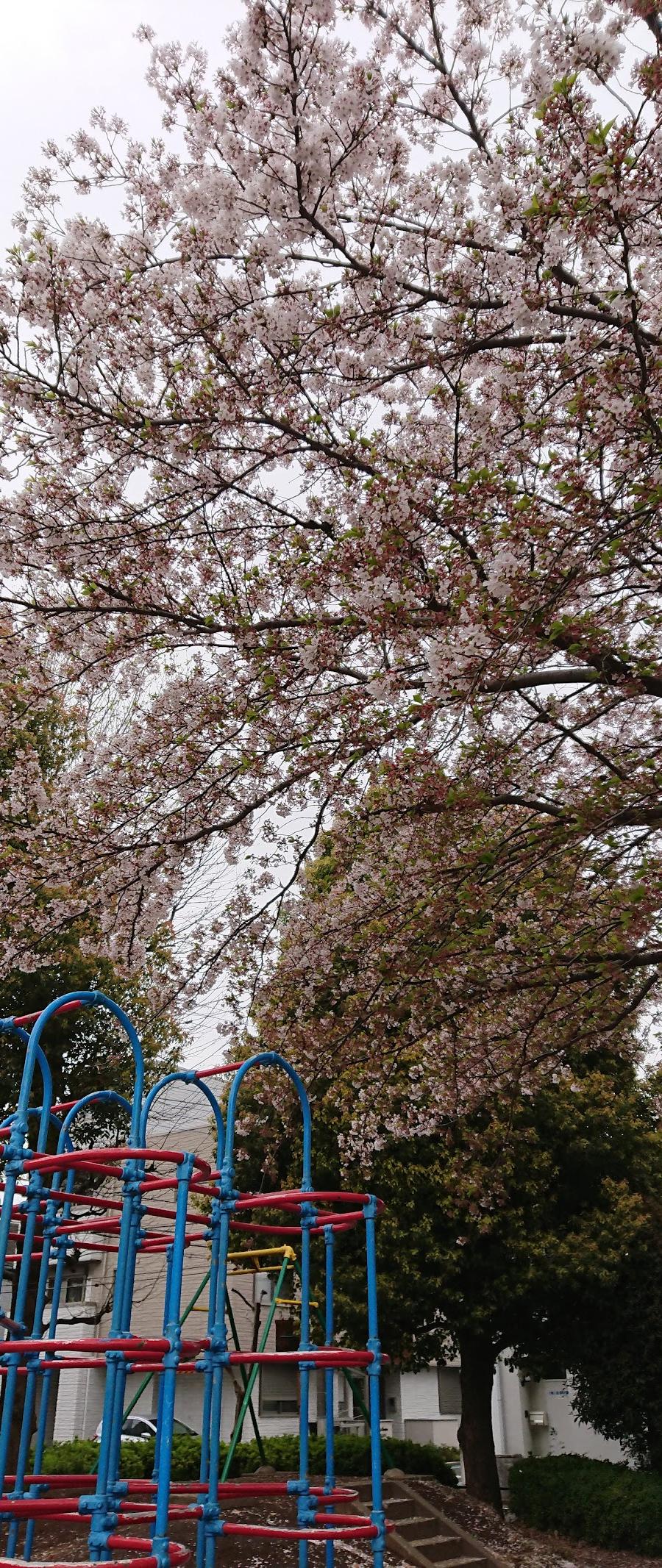 関の原公園