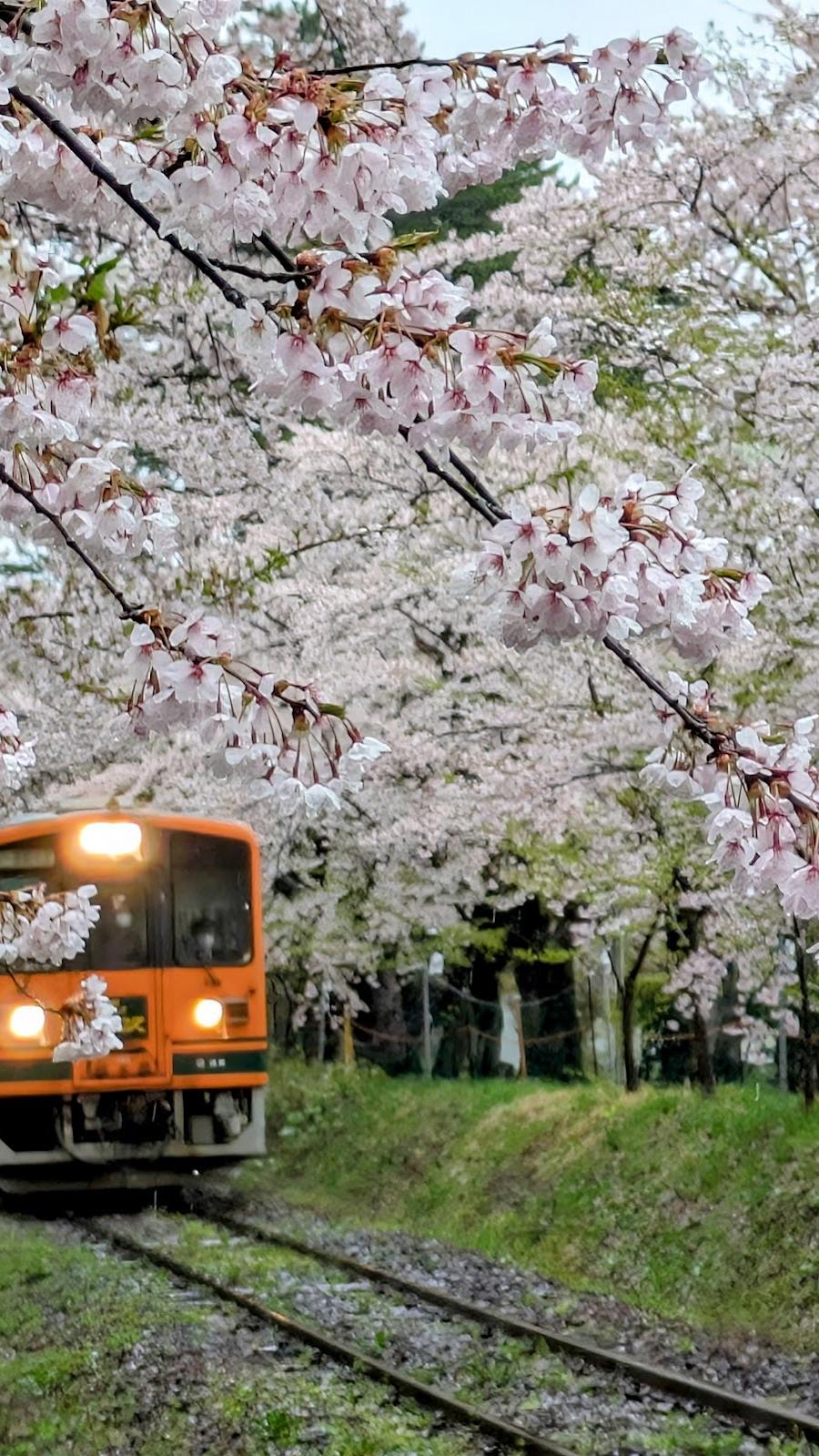 Ashino-Kōen
