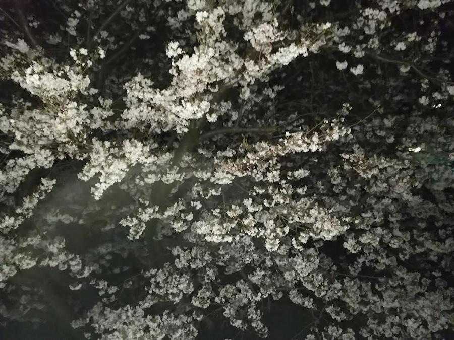 市場児童公園