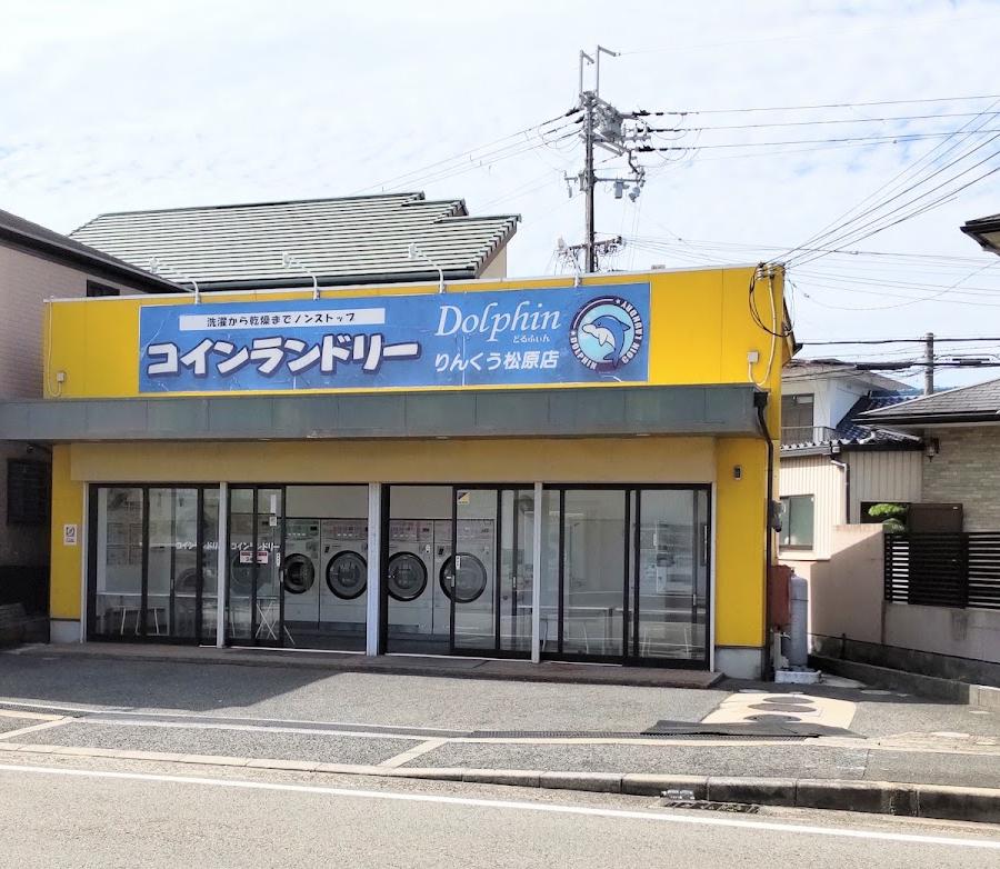 Dolphin