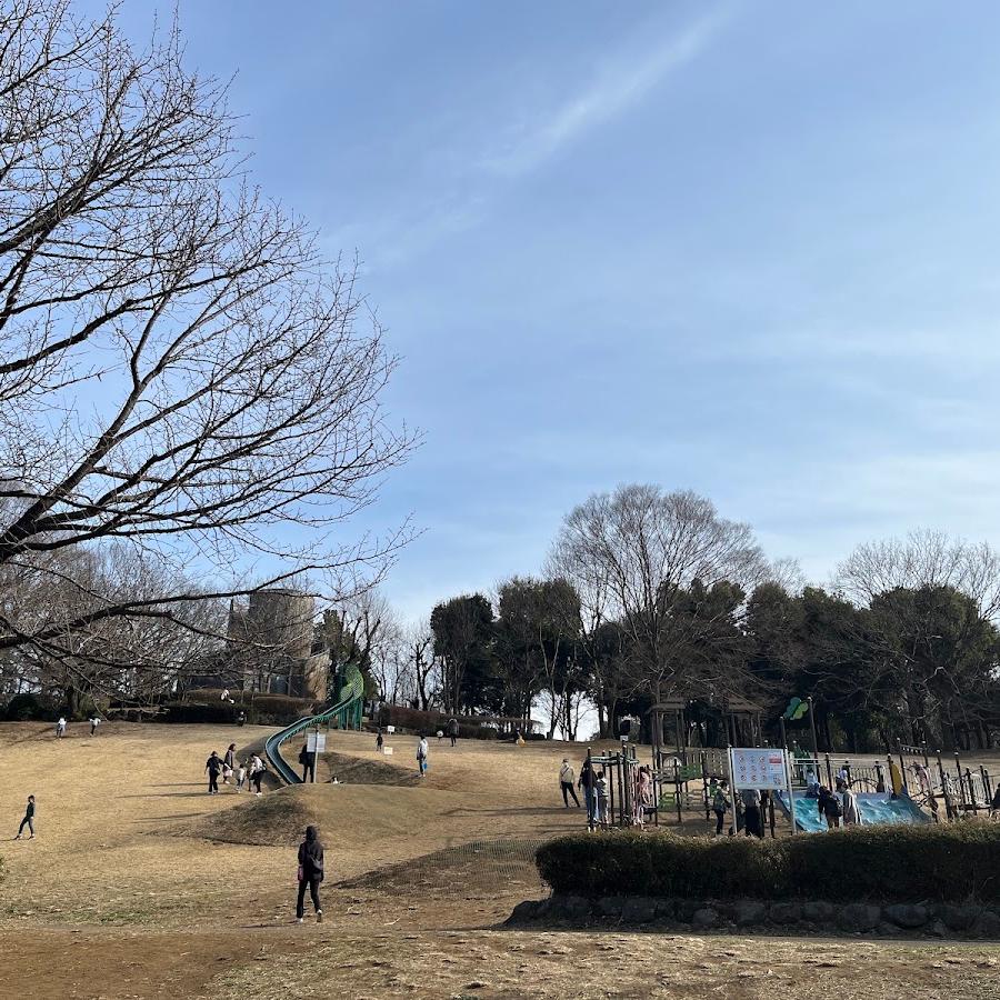 playgrounds