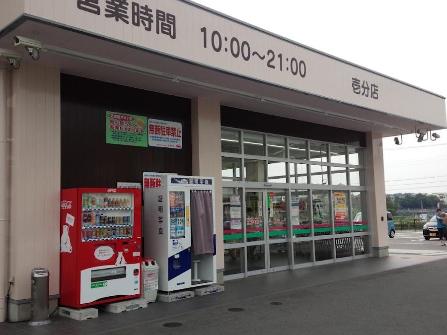 コスモス