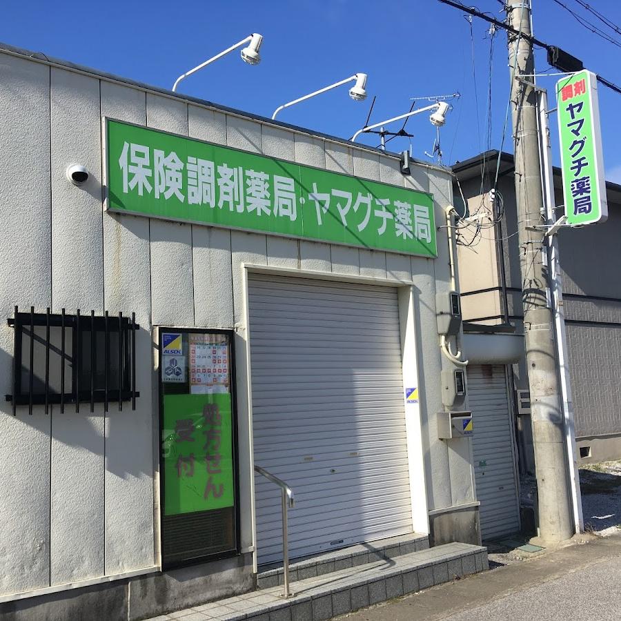 ヤマグチ薬局 米原下多良店